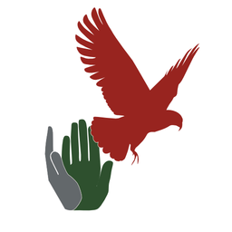 NZ Council for Civil Liberties logo
